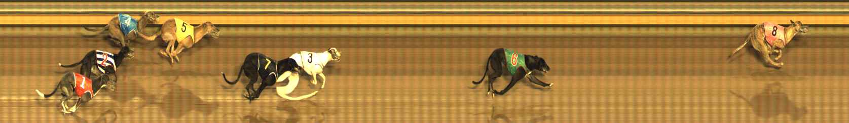 Photo finish for Bendigo Race 5