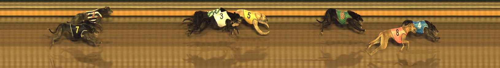 Photo finish for Bendigo Race 8