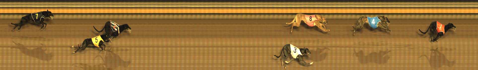Photo finish for Bendigo Race 9