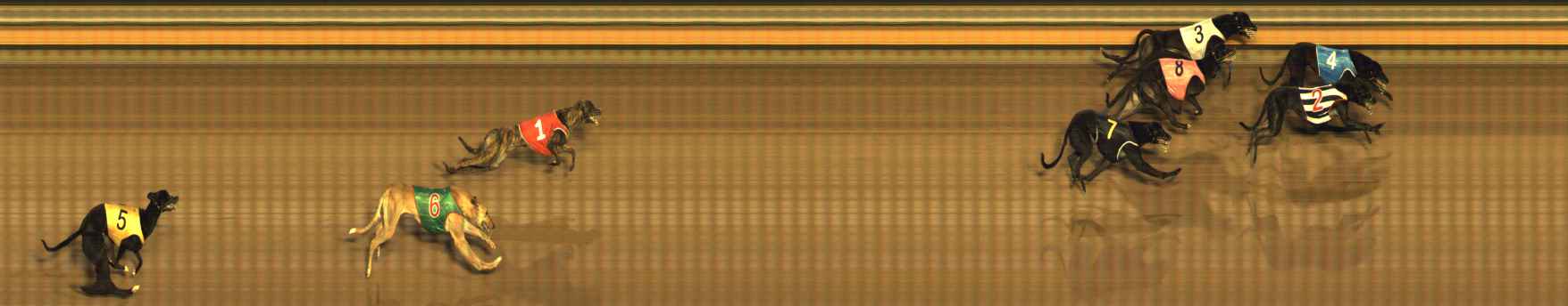 Photo finish for Bendigo Race 10