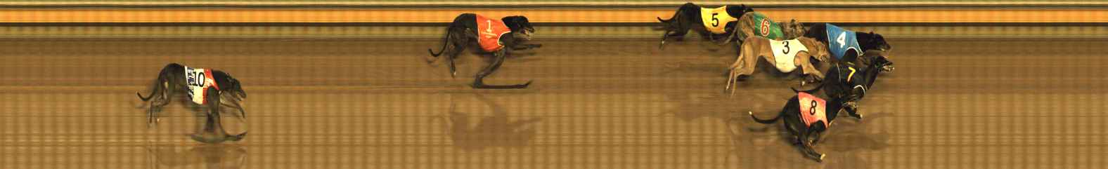 Photo finish for Bendigo Race 11