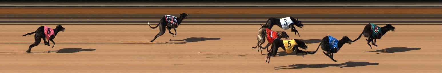Photo finish for Bendigo Race 1