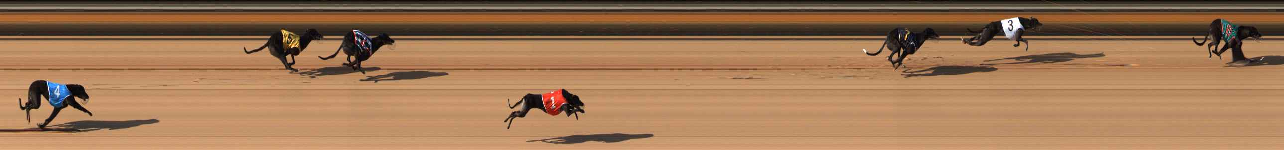 Photo finish for Bendigo Race 2