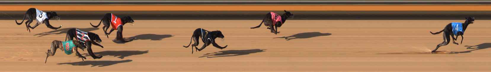 Photo finish for Bendigo Race 3