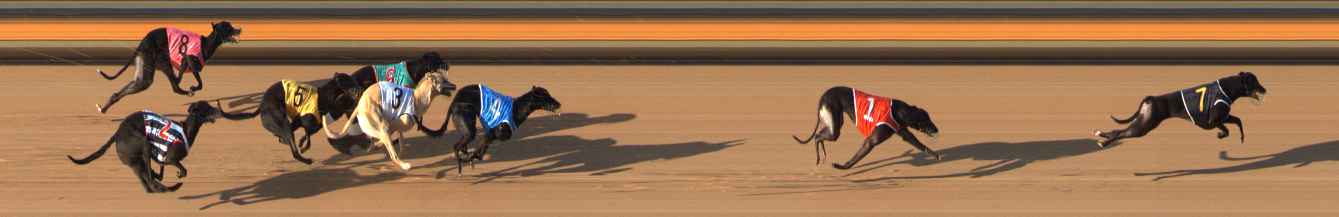 Photo finish for Bendigo Race 4