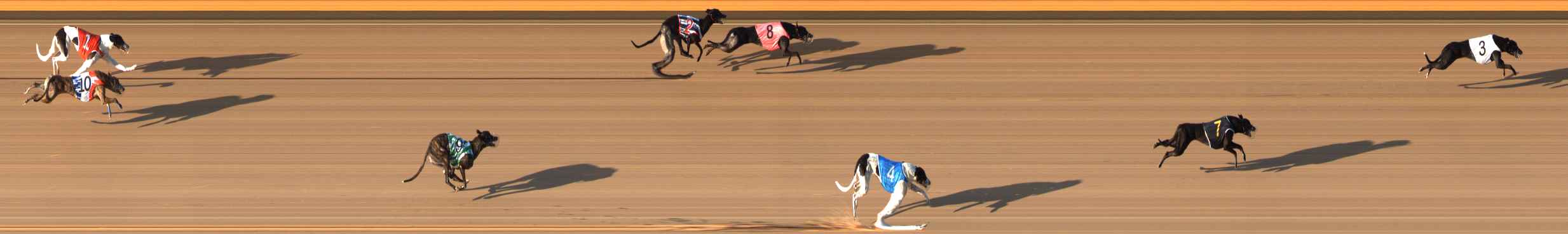 Photo finish for Bendigo Race 5