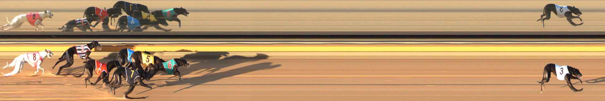 Photo finish for Bendigo Race 6
