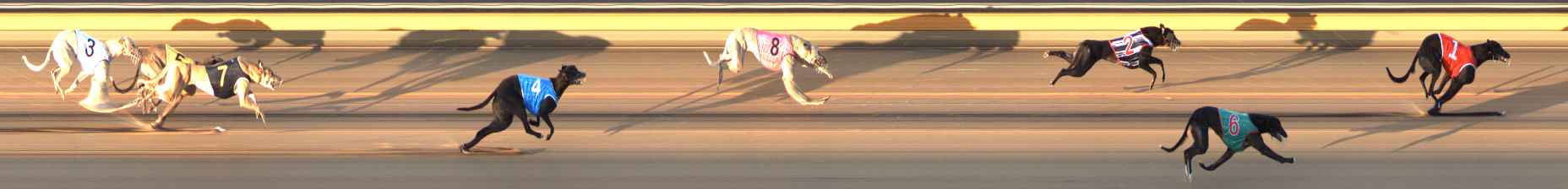 Photo finish for Bendigo Race 7