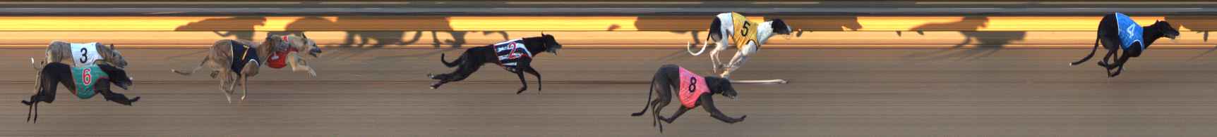 Photo finish for Bendigo Race 8