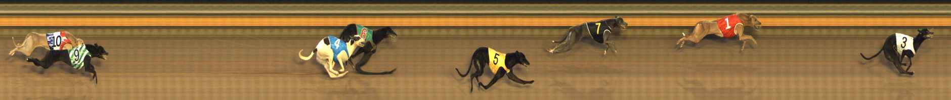 Photo finish for Bendigo Race 9