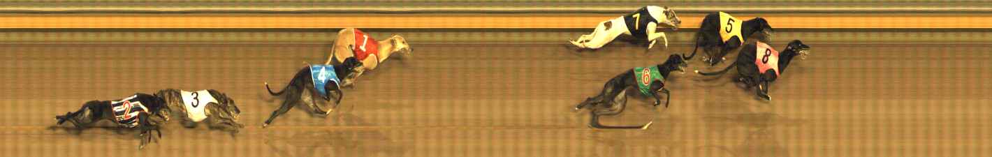 Photo finish for Bendigo Race 10