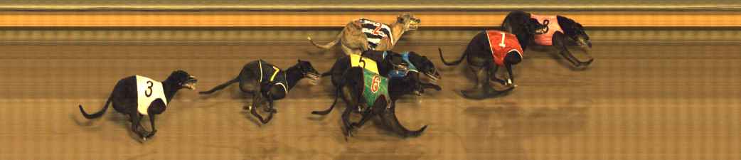 Photo finish for Bendigo Race 12