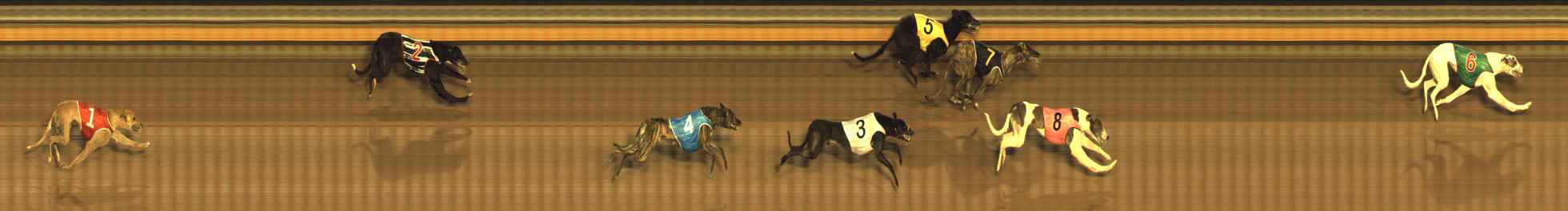 Photo finish for Bendigo Race 3