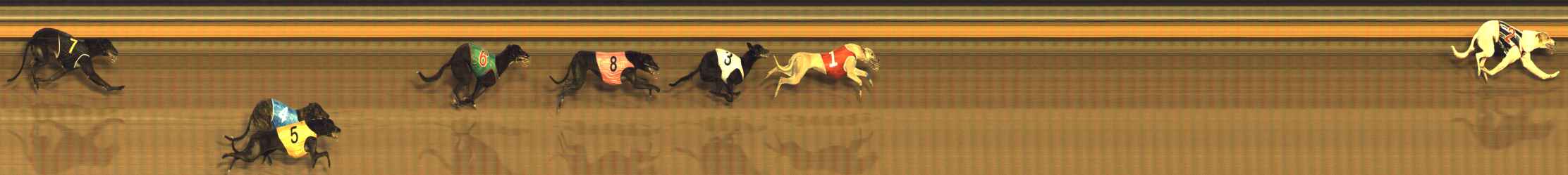 Photo finish for Bendigo Race 4