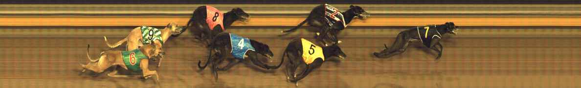 Photo finish for Bendigo Race 6