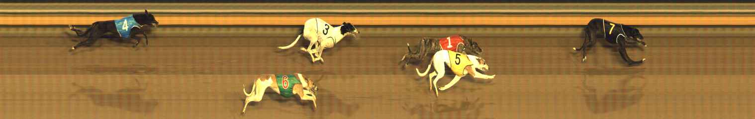 Photo finish for Bendigo Race 8