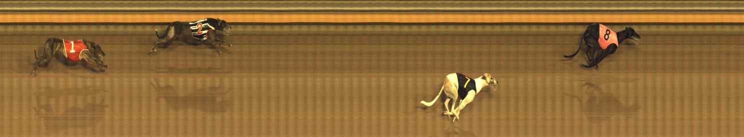 Photo finish for Bendigo Race 10