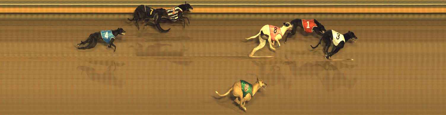 Photo finish for Bendigo Race 11