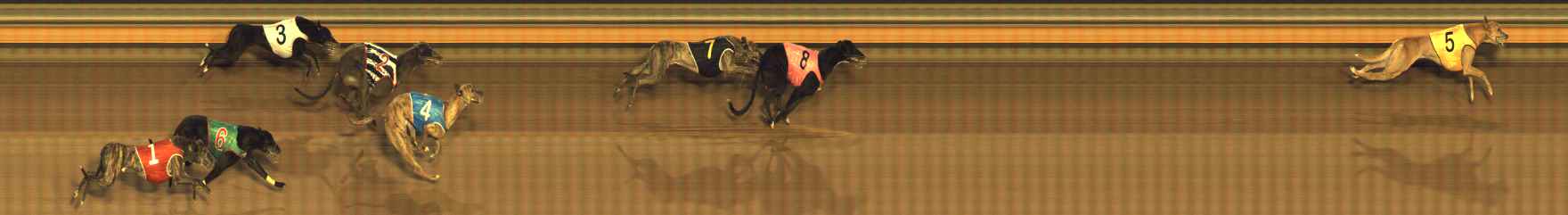 Photo finish for Bendigo Race 3