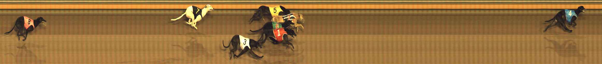 Photo finish for Bendigo Race 4