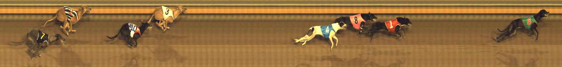 Photo finish for Bendigo Race 6