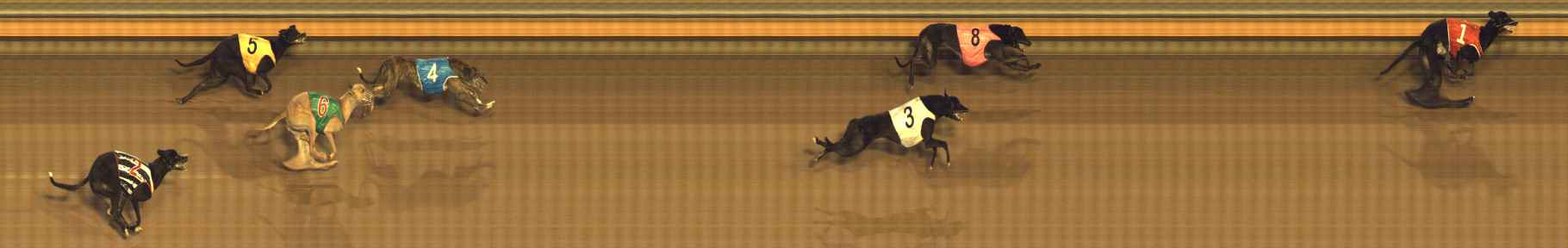Photo finish for Bendigo Race 7