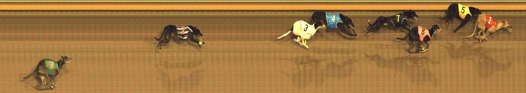 Photo finish for Bendigo Race 8