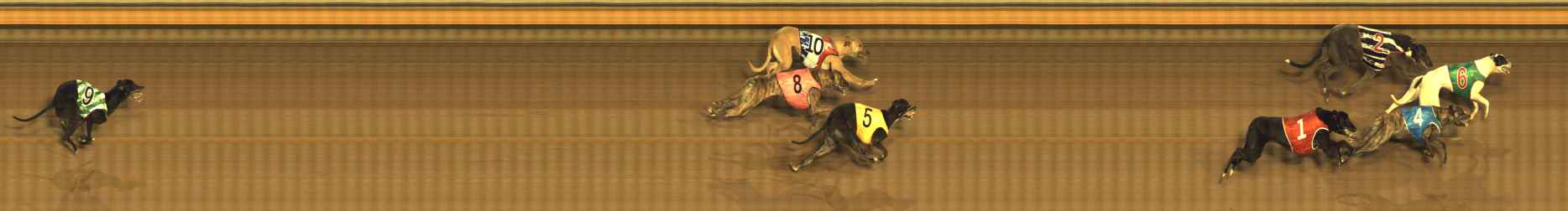 Photo finish for Bendigo Race 10