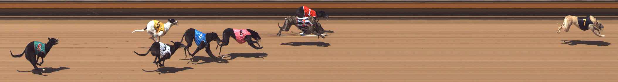 Photo finish for Bendigo Race 3
