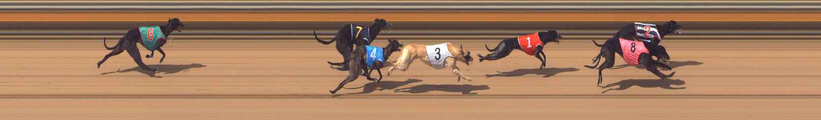 Photo finish for Bendigo Race 5