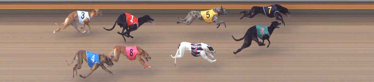 Photo finish for Bendigo Race 6