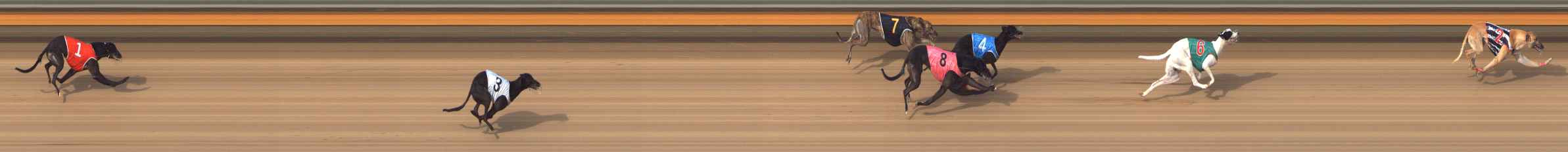 Photo finish for Bendigo Race 9