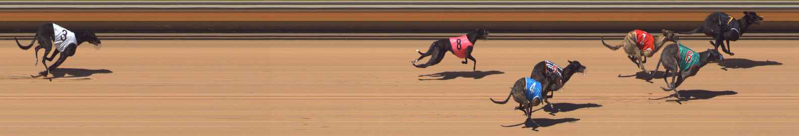 Photo finish for Bendigo Race 4