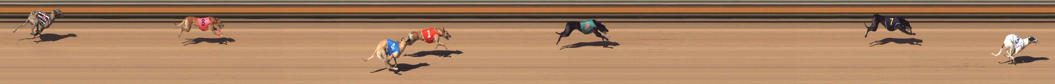 Photo finish for Bendigo Race 7