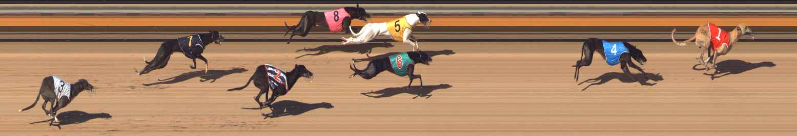 Photo finish for Bendigo Race 8