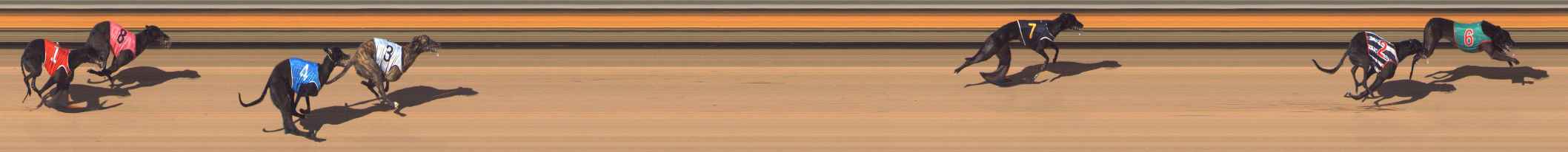 Photo finish for Bendigo Race 9