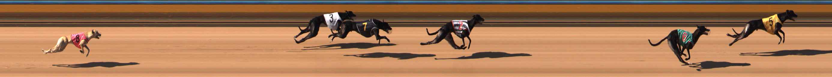 Photo finish for Bendigo Race 1