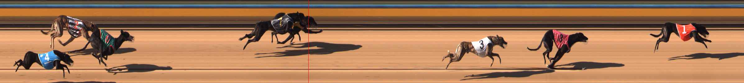 Photo finish for Bendigo Race 2