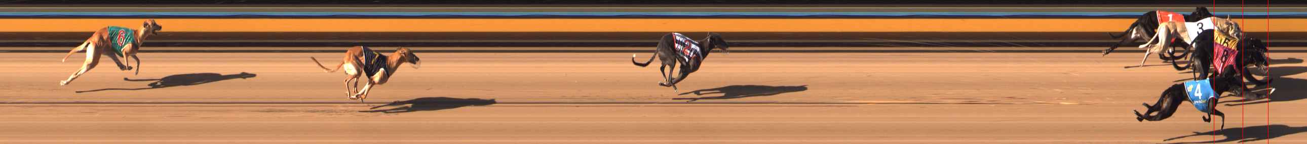 Photo finish for Bendigo Race 3