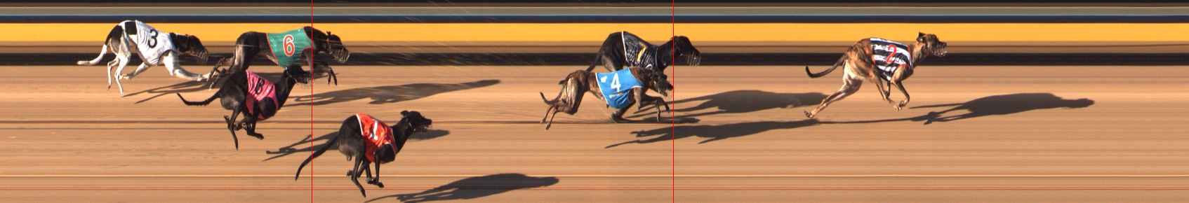 Photo finish for Bendigo Race 4