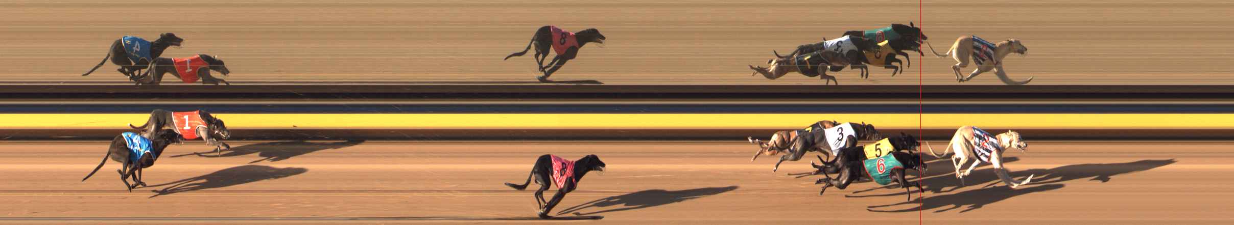 Photo finish for Bendigo Race 5