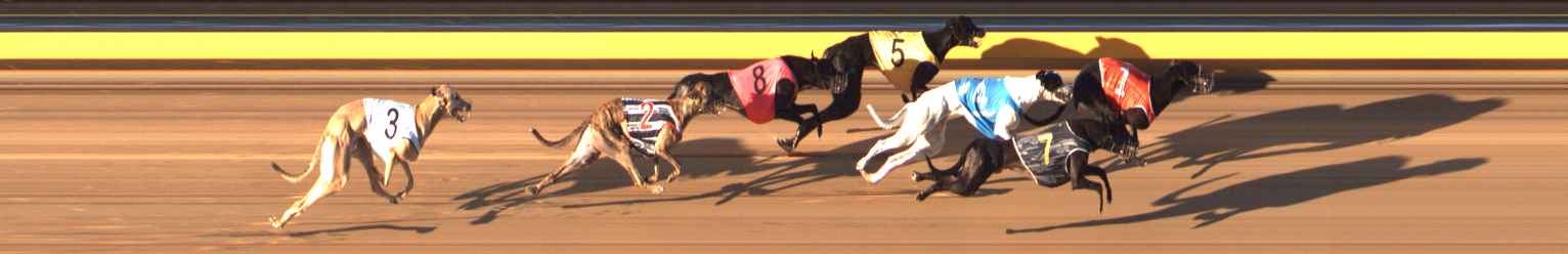 Photo finish for Bendigo Race 6