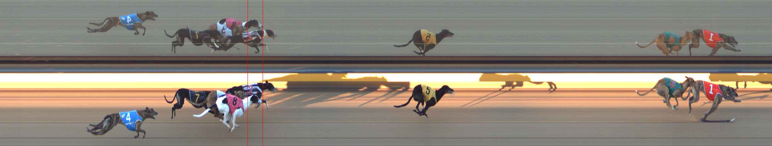 Photo finish for Bendigo Race 8