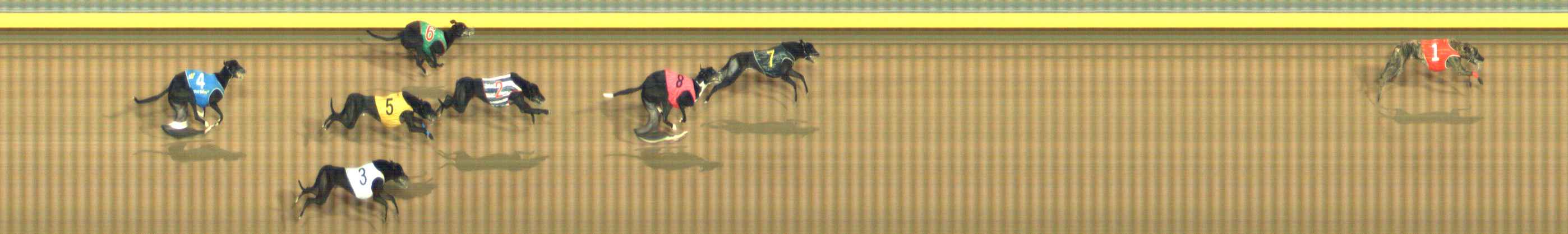 Photo finish for Bendigo Race 11