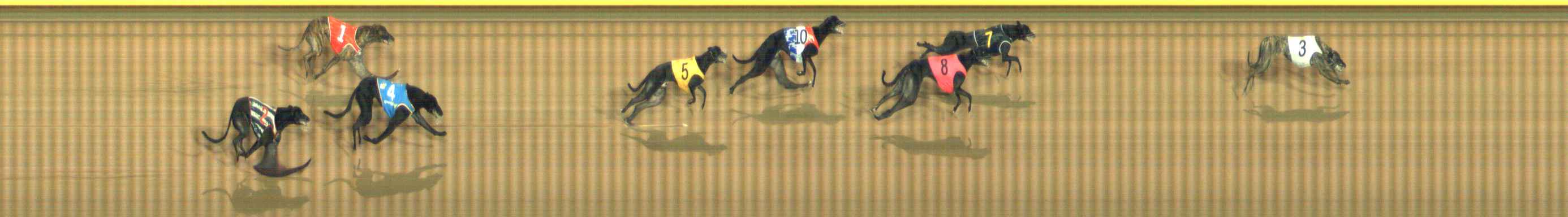 Photo finish for Bendigo Race 12
