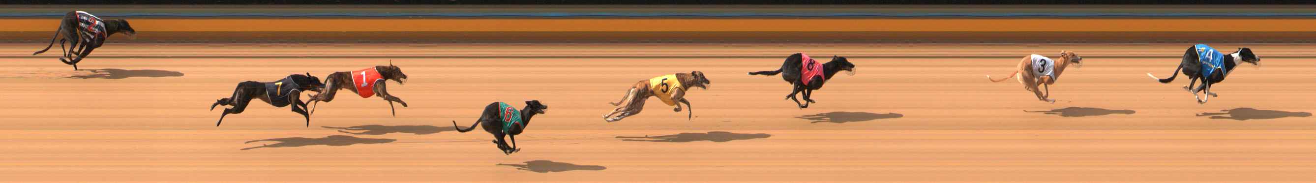 Photo finish for Bendigo Race 1