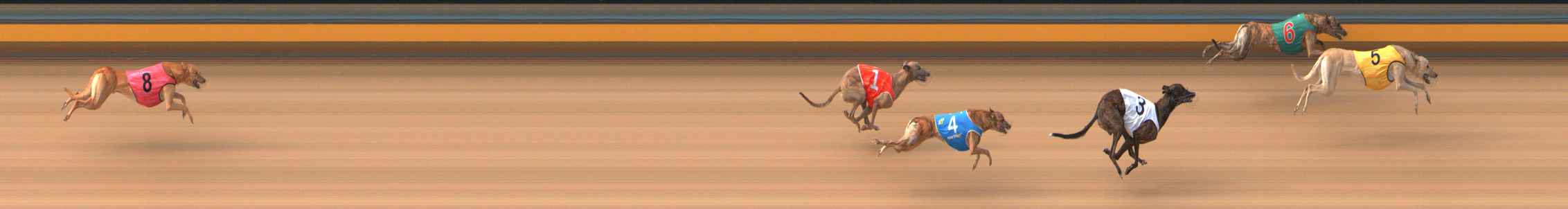Photo finish for Bendigo Race 2