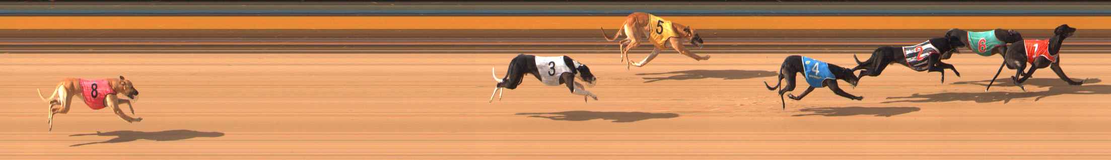 Photo finish for Bendigo Race 3