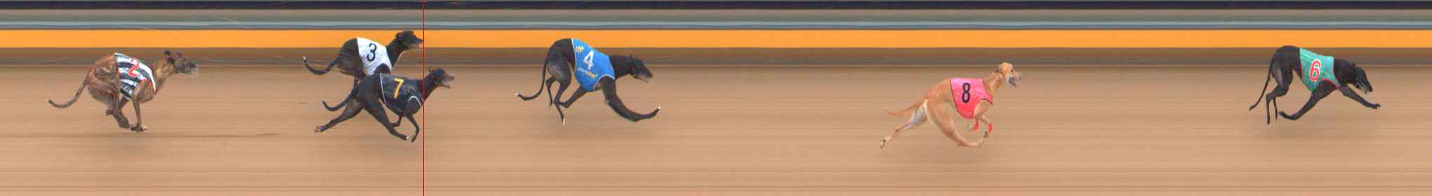 Photo finish for Bendigo Race 5