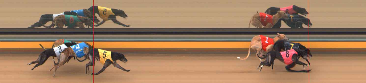 Photo finish for Bendigo Race 6